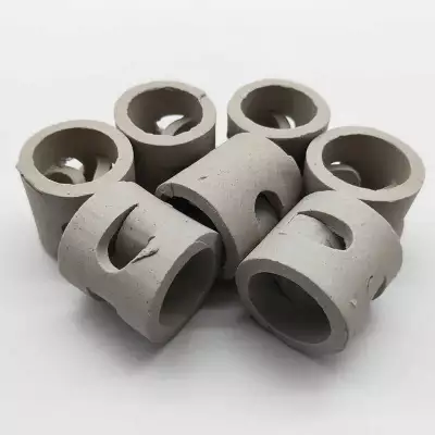 Pall Ring